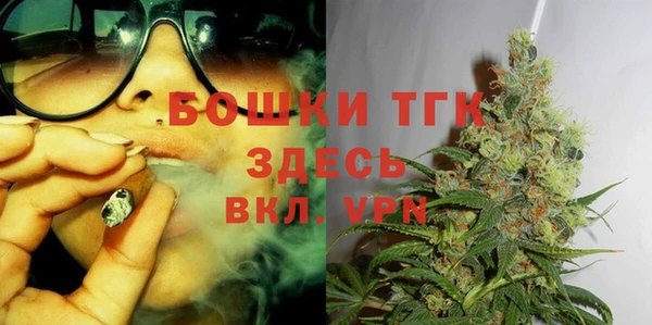 твердый Горнозаводск