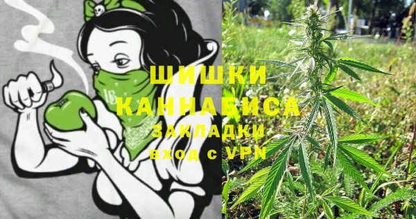 твердый Горнозаводск