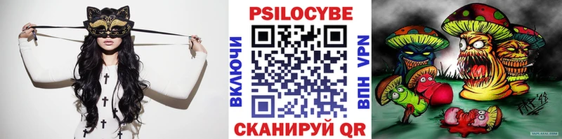 хочу наркоту  Чердынь  Галлюциногенные грибы Cubensis 